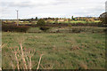 Fields east of Sabin Drive, Weston under Wetherley