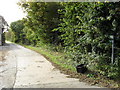 Footpath to Radcot Bridge