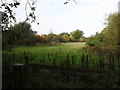 Field beside Moreton Lane