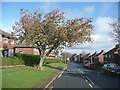 Highfield Road, Rastrick