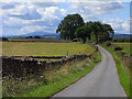 Road above Park Head near Kirkoswald