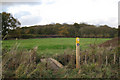 Footpath leading to The Runghills