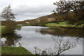 SK2569 : River Derwent by jeff collins