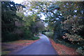 Hawkenbury Rd out of Bells Yew Green