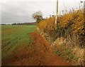 Field boundary near Sugarswell