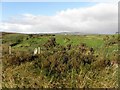 Altdrumman Townland