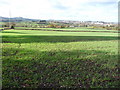 Rolling fields towards the Clent Hills