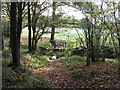 Footbridge and stile at the southern edge of Red Copse