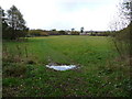 Part of Woodgate Valley Country Park