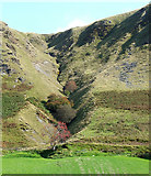 SN8056 : Gully in Cwm Tywi, Powys by Roger  D Kidd
