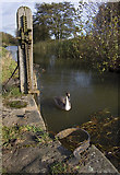 SE7845 : Pocklington Canal - Sandhill Lock by Paul Harrop