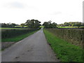 Road from White Lodge to the B4696