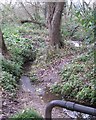 Stream on northern boundary of Saxon Meadows estate, Leamington Spa