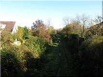 TL4454 : Old railway line at Shelford Road, looking east by Keith Edkins