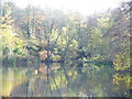 Millpond near Great Enton