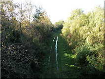 TL4454 : Old railway line at Shelford Road, looking west by Keith Edkins