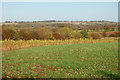 Looking north across farmland west of Ufton