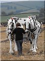 SO2191 : Horse ploughing by Penny Mayes