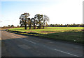 A stand of trees in field west of the B1134