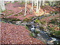 The Moulin Burn