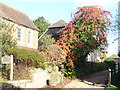 Autumn Colours in Witley