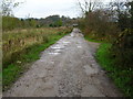 Ribble Way between Low Moor and Brungerley Bridge