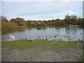 Pond near Mill Lane, Hebburn