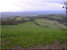 SS9604 : Looking south into the Exe Valley by Rob Purvis