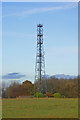 Mast, Reigate Hill