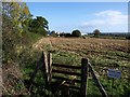 Field near Sandy Park Farm