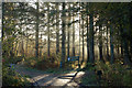 Track to Blackmuir Wood, Strathpeffer