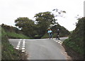 Cyclists at the crossroads