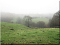 Fields near Dolwar Hall