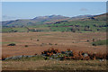 SH6934 : Rough grazing south of Llyn Trawsfynydd by Nigel Brown