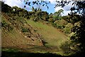 Steep Hillside Below Easton