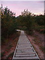 Verwood: wooden steps at Stephen?s Castle