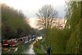 Late afternoon light below bridge 24, Grand Union Canal