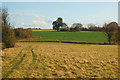 Fields south of Hunningham