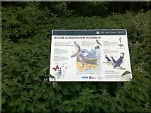 SZ0482 : National Trust Information Board by David Lally