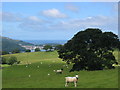 View towards Conwy