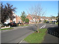 A beautiful autumn morning in Cherry  Tree Avenue