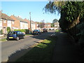 Shadows in Cherry Tree Avenue