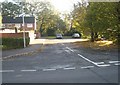 Autumn in Cherry Tree Avenue