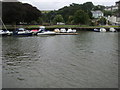 Kingsbridge Estuary