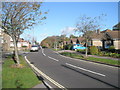 Bungalows in Cherry Tree Avenue