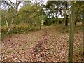 Bridleway near Sleaford