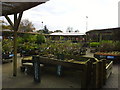 Wyevale Garden Centre near Leyland