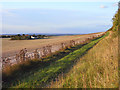 Bridleway and farmland above Blewbury