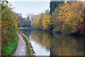 Grand Union Canal west of St Mary