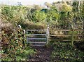 Gate on the Severn Way